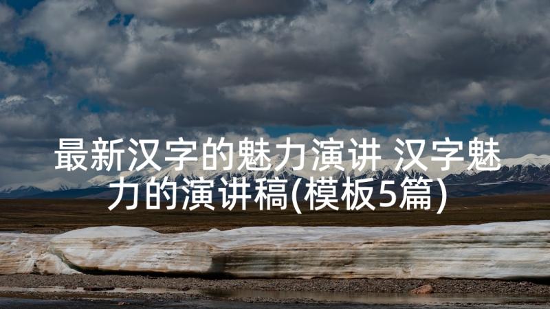 最新汉字的魅力演讲 汉字魅力的演讲稿(模板5篇)