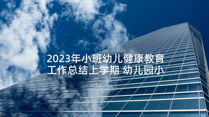 2023年小班幼儿健康教育工作总结上学期 幼儿园小班健康教育工作总结(大全5篇)