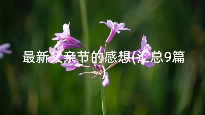 最新父亲节的感想(汇总9篇)