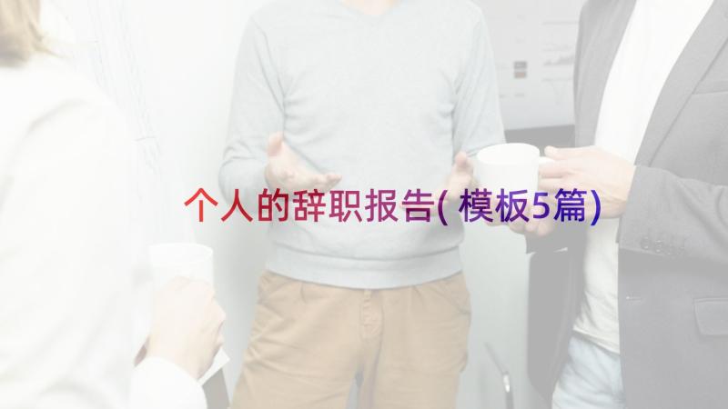 个人的辞职报告(模板5篇)