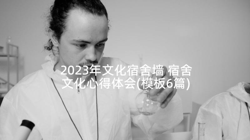 2023年文化宿舍墙 宿舍文化心得体会(模板6篇)
