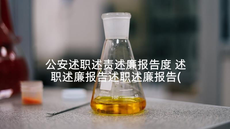 公安述职述责述廉报告度 述职述廉报告述职述廉报告(优秀5篇)