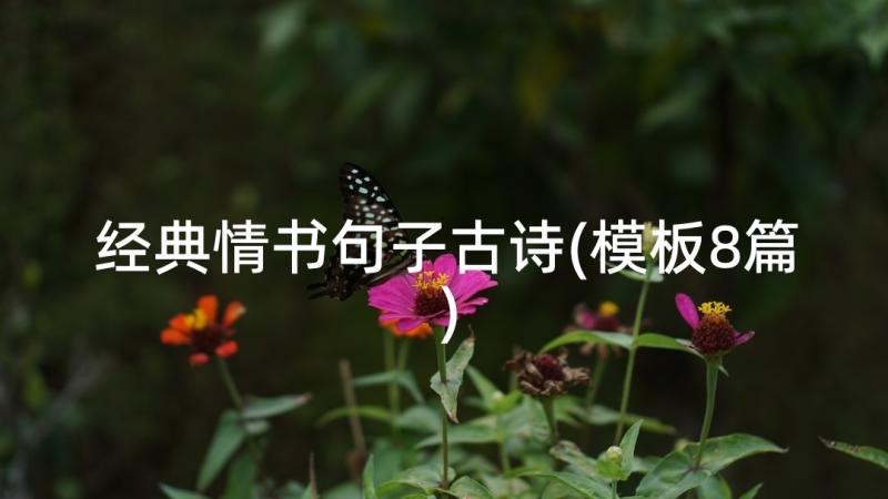 经典情书句子古诗(模板8篇)