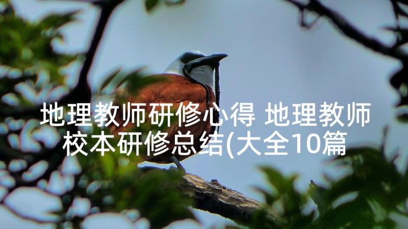 地理教师研修心得 地理教师校本研修总结(大全10篇)