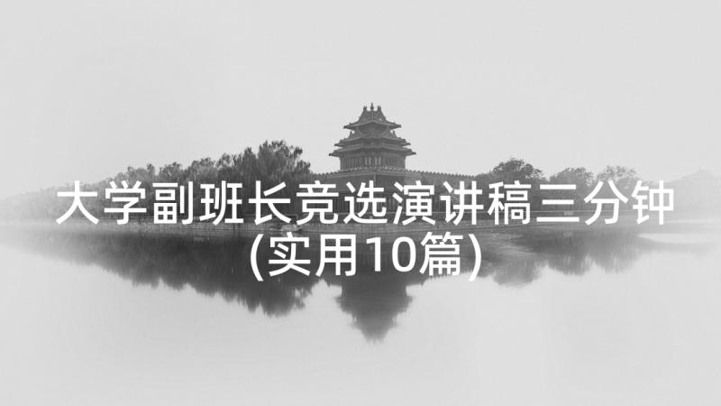 大学副班长竞选演讲稿三分钟(实用10篇)