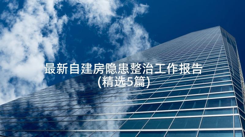 最新自建房隐患整治工作报告(精选5篇)