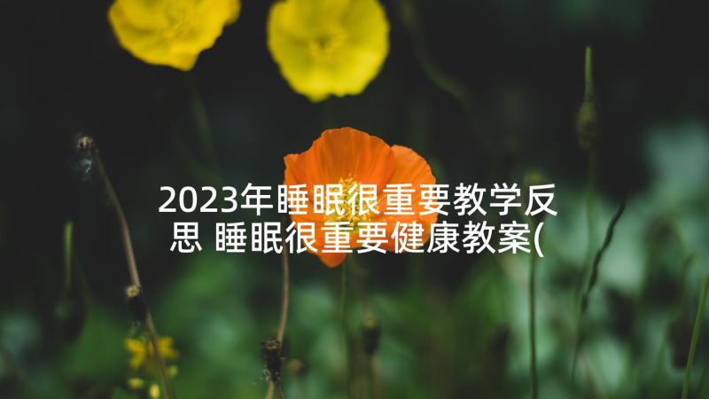 2023年睡眠很重要教学反思 睡眠很重要健康教案(大全5篇)