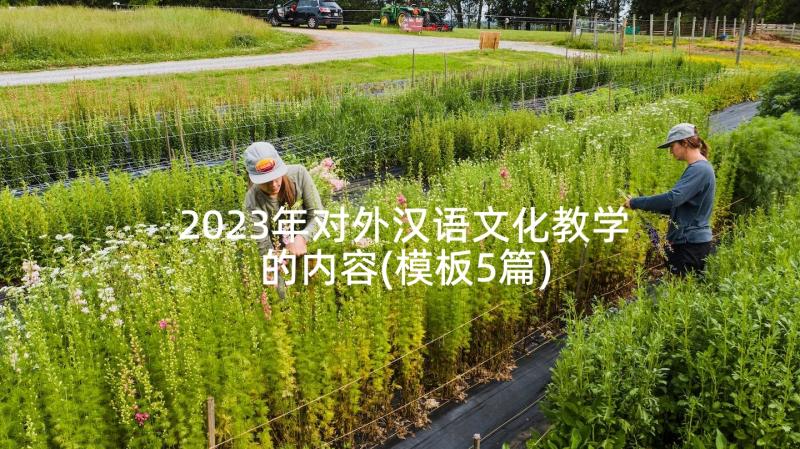 2023年对外汉语文化教学的内容(模板5篇)