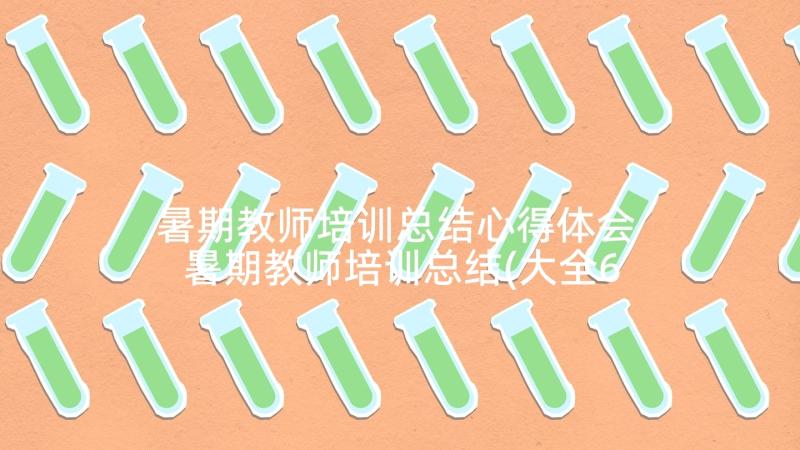 暑期教师培训总结心得体会 暑期教师培训总结(大全6篇)