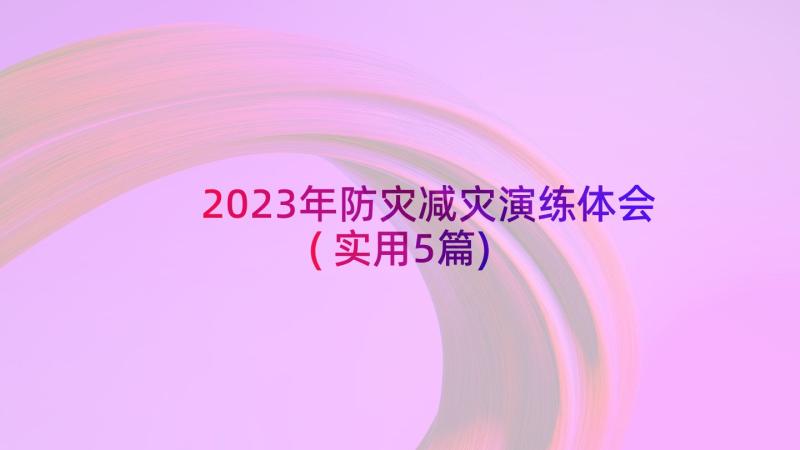 2023年防灾减灾演练体会(实用5篇)