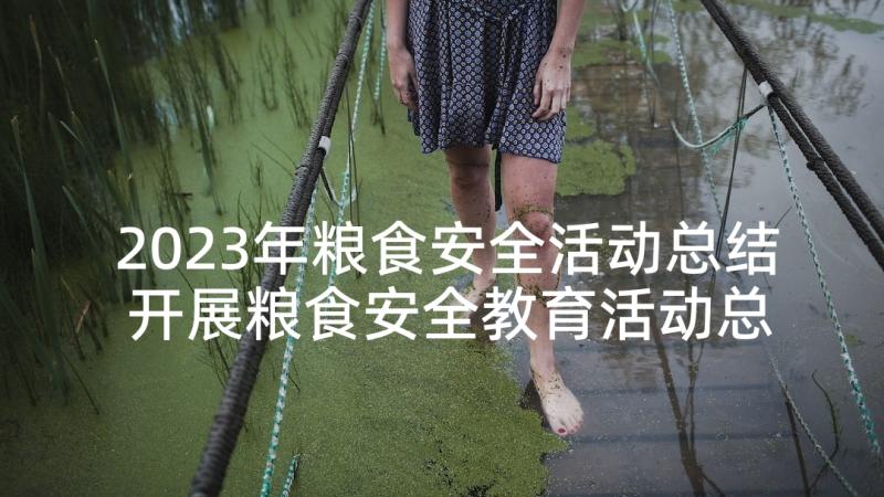 2023年粮食安全活动总结 开展粮食安全教育活动总结(实用5篇)