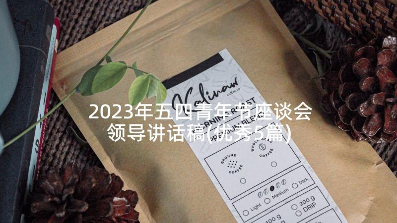 2023年五四青年节座谈会领导讲话稿(优秀5篇)