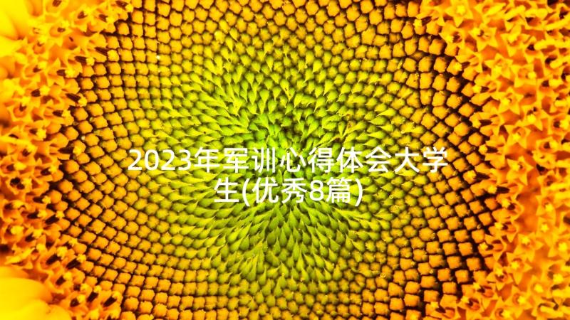 2023年军训心得体会大学生(优秀8篇)