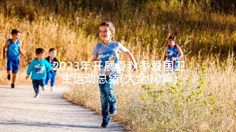 2023年开展夏秋季爱国卫生运动总结(大全10篇)