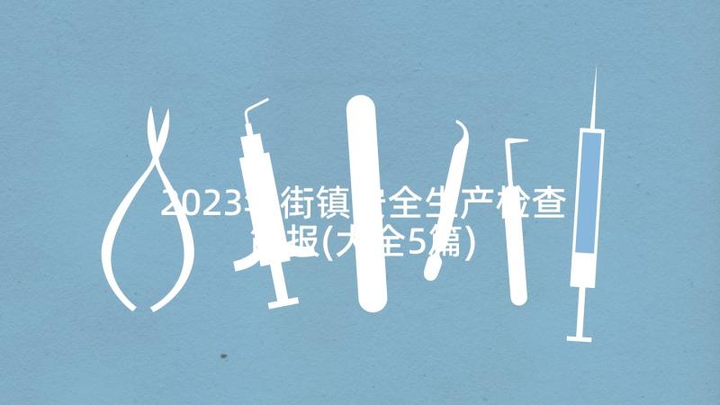 2023年街镇安全生产检查简报(大全5篇)