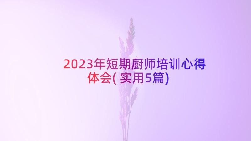 2023年短期厨师培训心得体会(实用5篇)