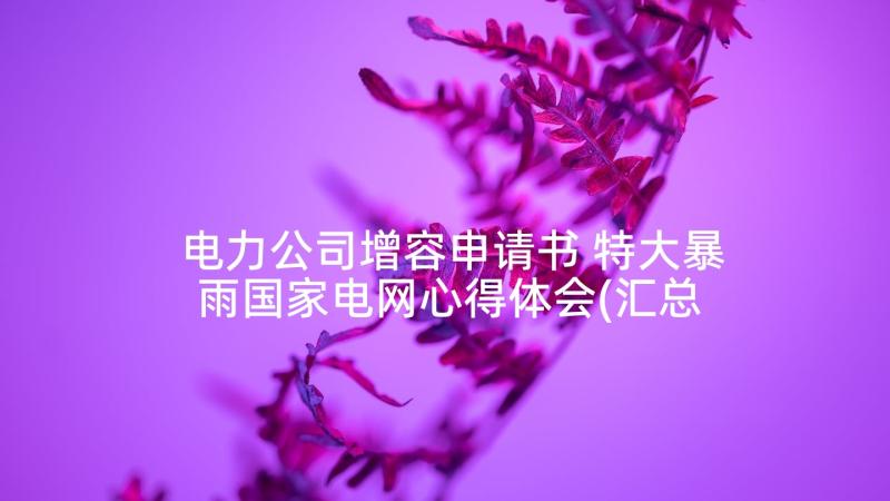 电力公司增容申请书 特大暴雨国家电网心得体会(汇总6篇)