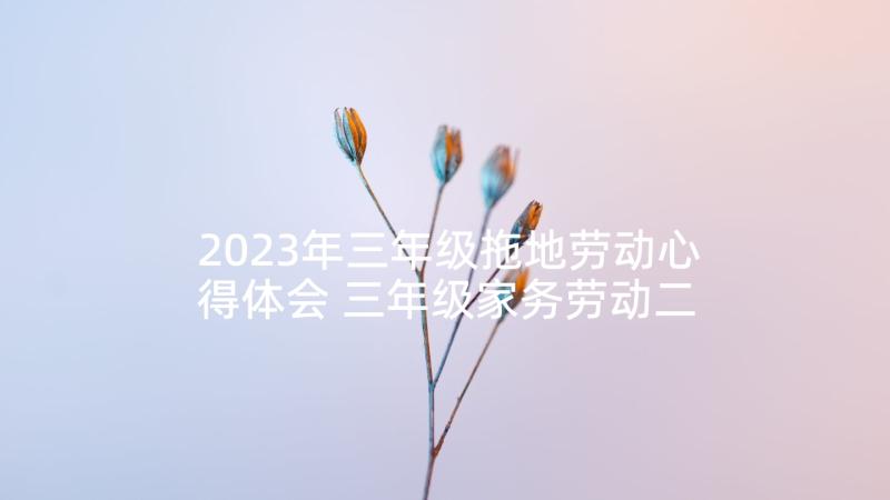 2023年三年级拖地劳动心得体会 三年级家务劳动二年级家务劳动心得体会(精选5篇)