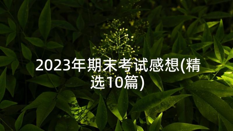 2023年期末考试感想(精选10篇)