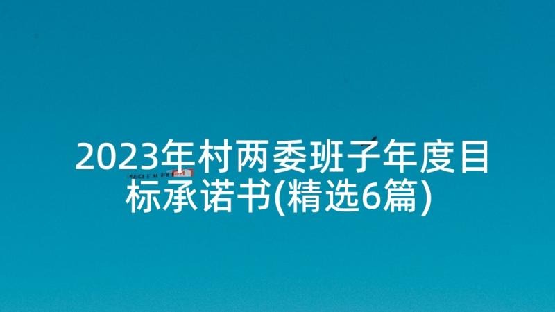 2023年村两委班子年度目标承诺书(精选6篇)