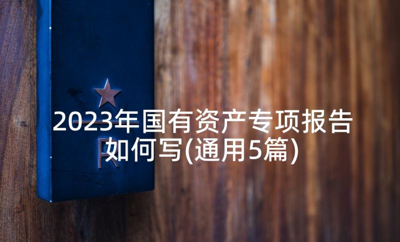 2023年国有资产专项报告如何写(通用5篇)