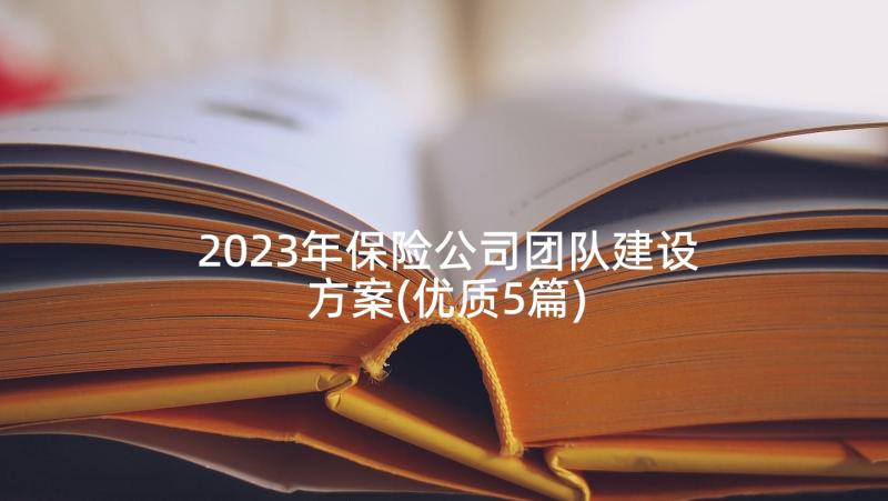 2023年保险公司团队建设方案(优质5篇)