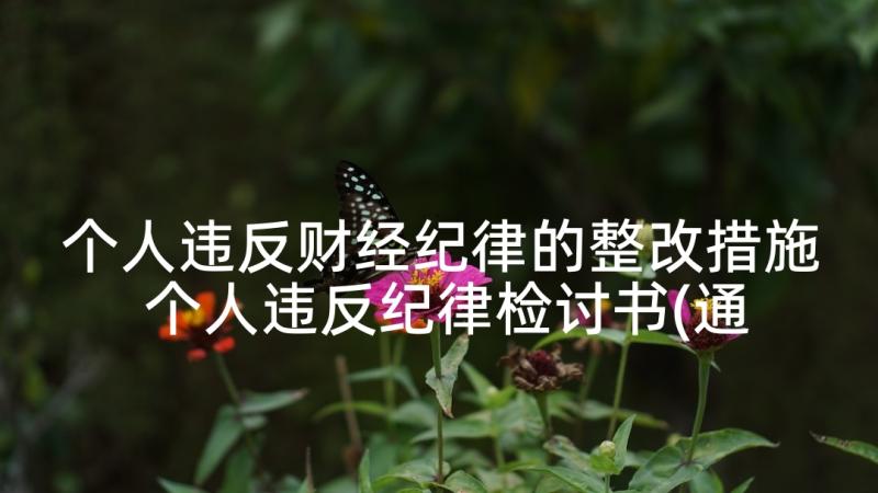 个人违反财经纪律的整改措施 个人违反纪律检讨书(通用9篇)