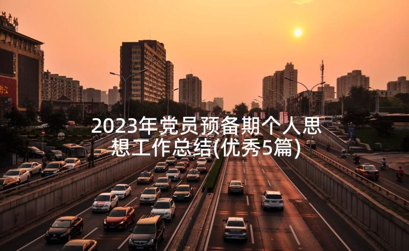 2023年党员预备期个人思想工作总结(优秀5篇)