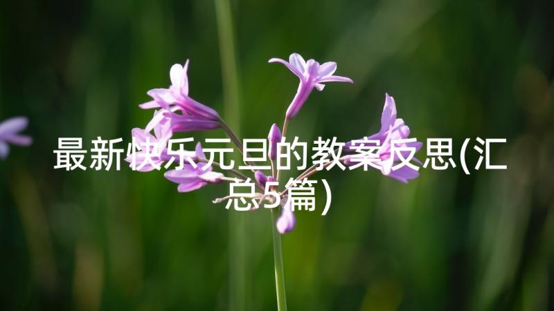 最新快乐元旦的教案反思(汇总5篇)