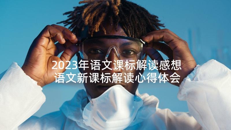 2023年语文课标解读感想 语文新课标解读心得体会(实用9篇)