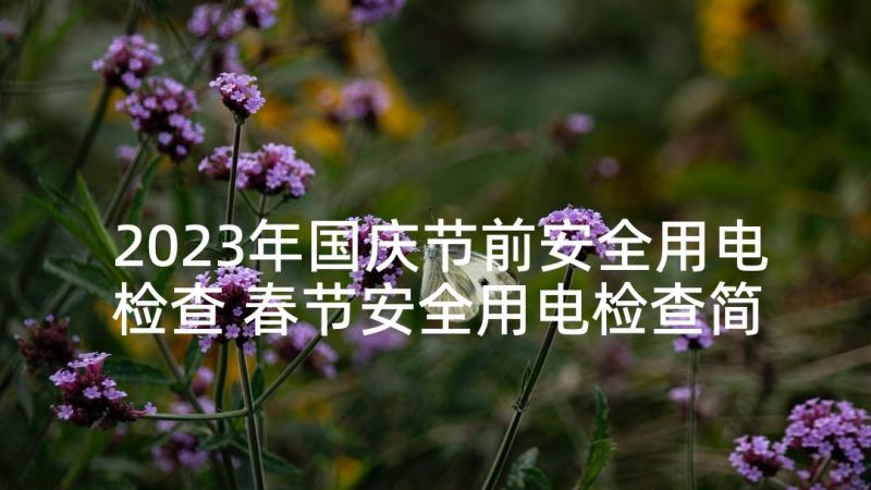 2023年国庆节前安全用电检查 春节安全用电检查简报(模板5篇)