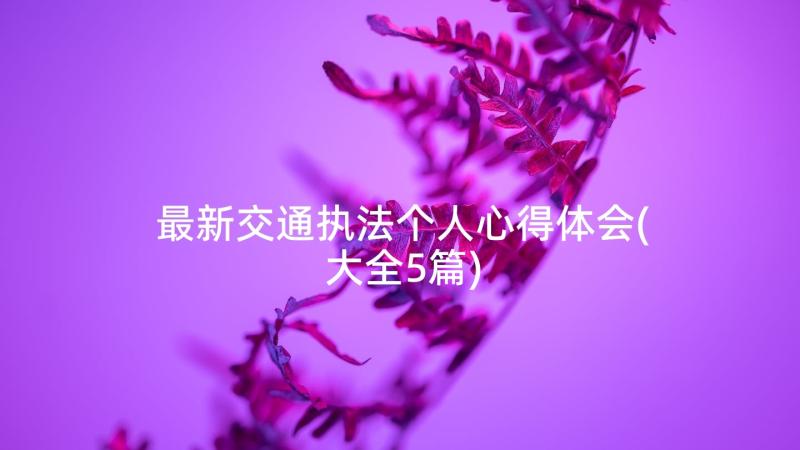 最新交通执法个人心得体会(大全5篇)