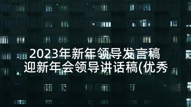 2023年新年领导发言稿 迎新年会领导讲话稿(优秀6篇)