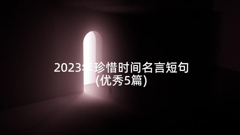 2023年珍惜时间名言短句(优秀5篇)