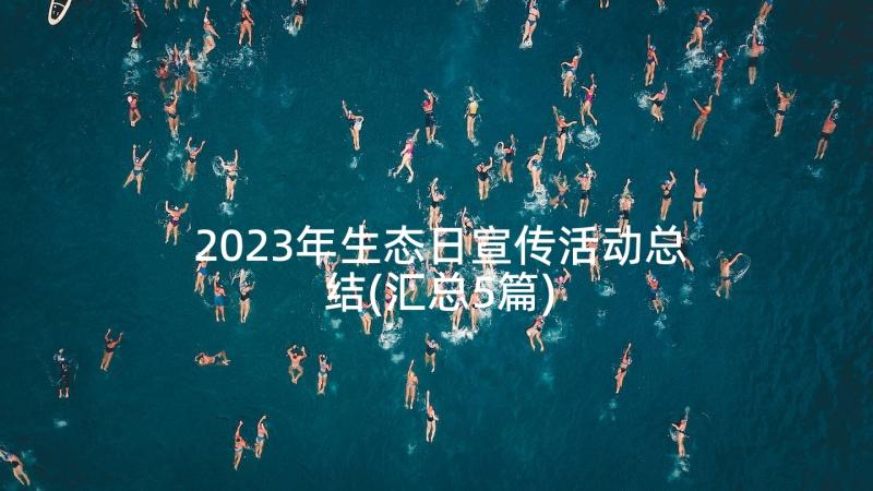 2023年生态日宣传活动总结(汇总5篇)
