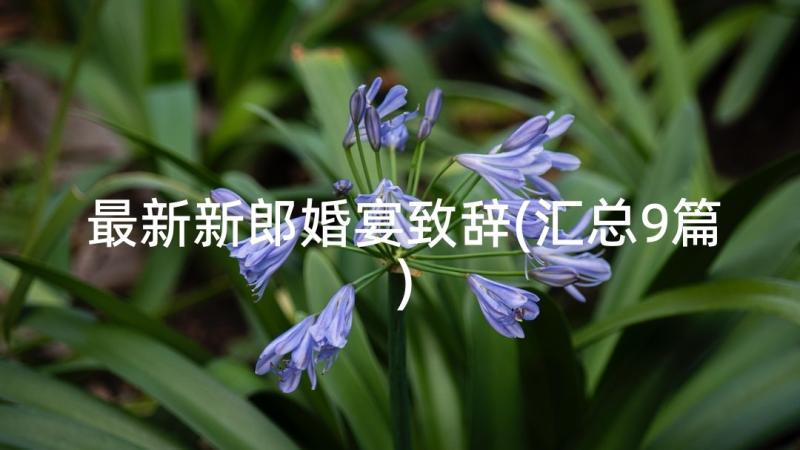 最新新郎婚宴致辞(汇总9篇)