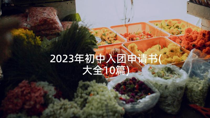 2023年初中入团申请书(大全10篇)