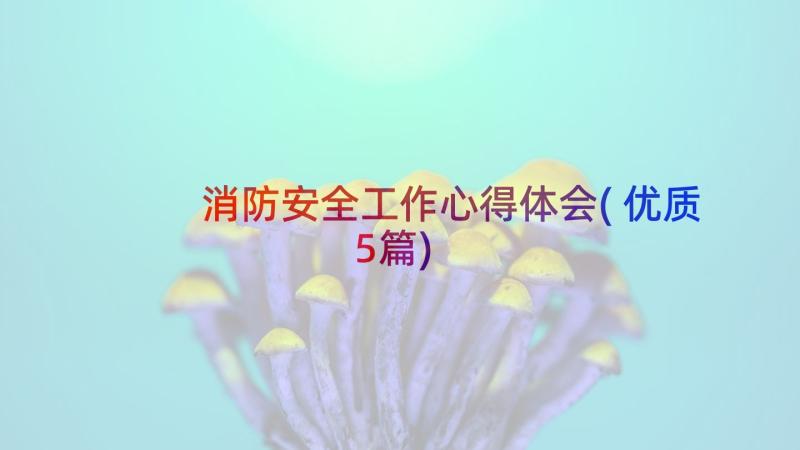 消防安全工作心得体会(优质5篇)