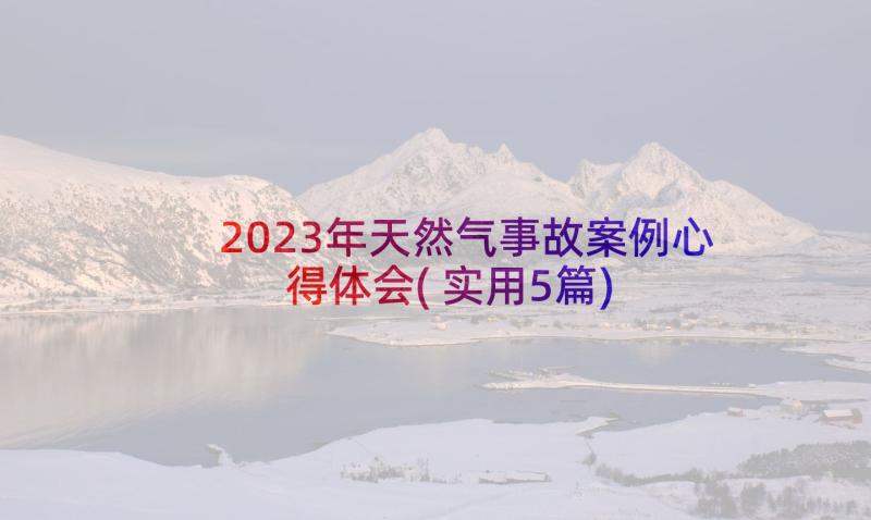 2023年天然气事故案例心得体会(实用5篇)