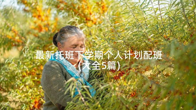 最新托班下学期个人计划配班(大全5篇)