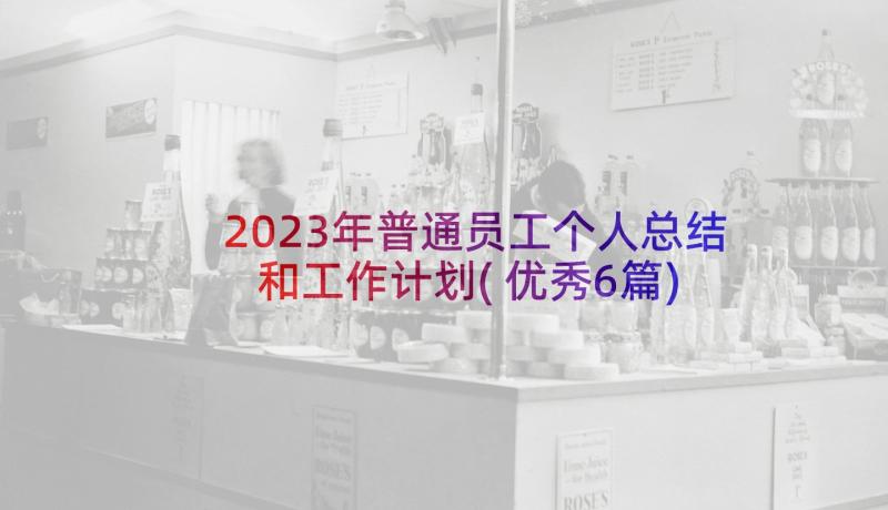 2023年普通员工个人总结和工作计划(优秀6篇)