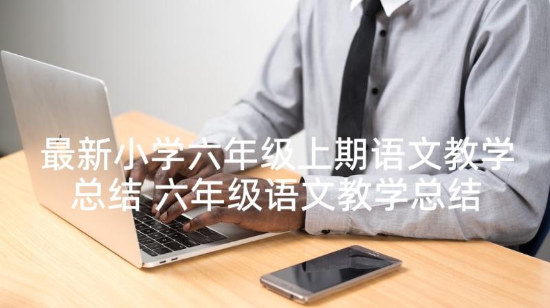 最新小学六年级上期语文教学总结 六年级语文教学总结(通用5篇)