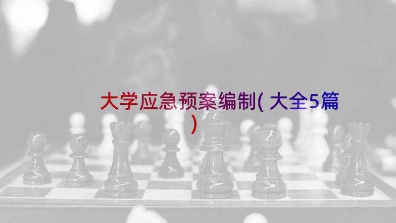 大学应急预案编制(大全5篇)