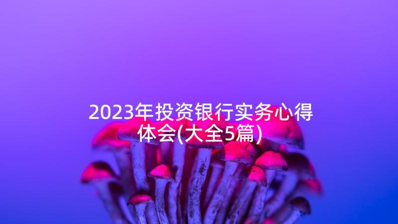 2023年投资银行实务心得体会(大全5篇)