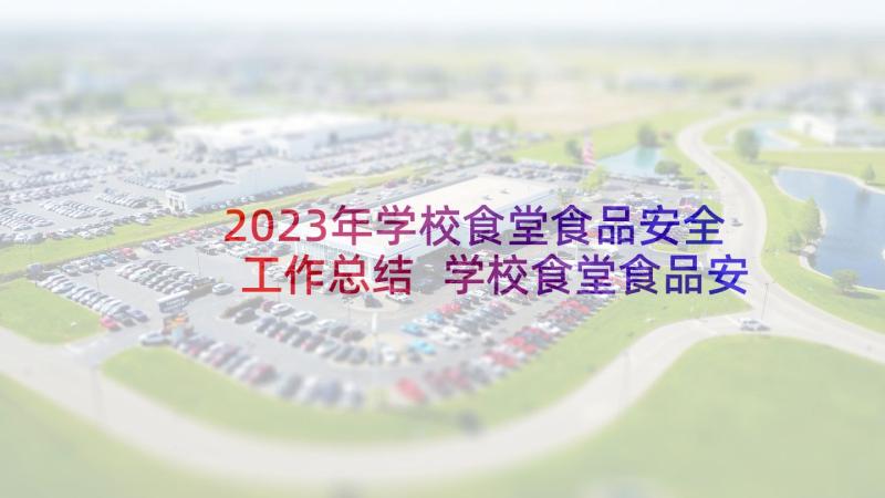 2023年学校食堂食品安全工作总结 学校食堂食品安全自查报告(通用6篇)