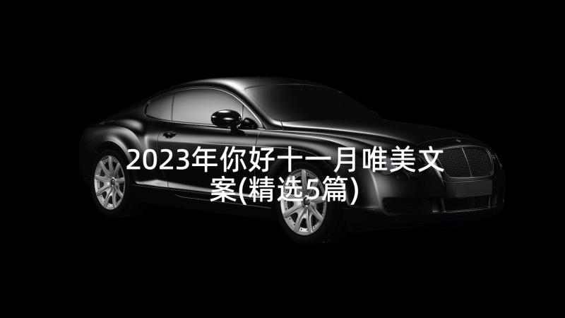 2023年你好十一月唯美文案(精选5篇)