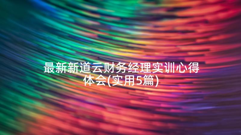 最新新道云财务经理实训心得体会(实用5篇)