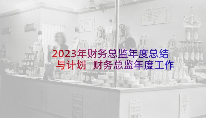 2023年财务总监年度总结与计划 财务总监年度工作计划(优秀5篇)