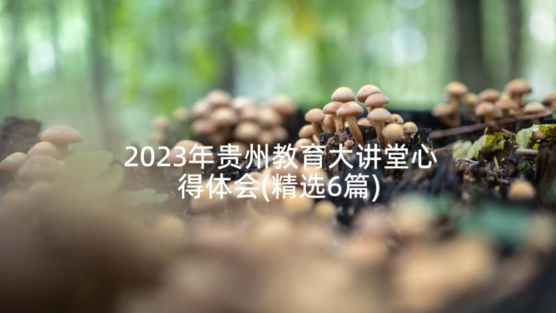 2023年贵州教育大讲堂心得体会(精选6篇)