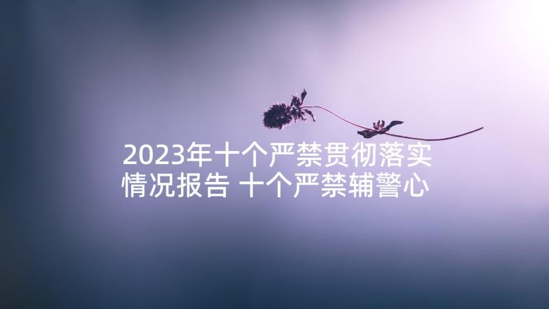 2023年十个严禁贯彻落实情况报告 十个严禁辅警心得体会(汇总6篇)